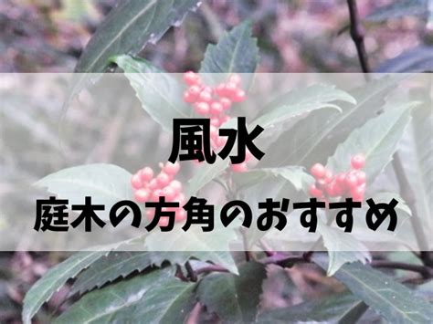 紅葉植物風水|風水で庭木の方角のおすすめと縁起がいい庭木の言い。